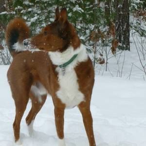 Meet your Posher, Lori